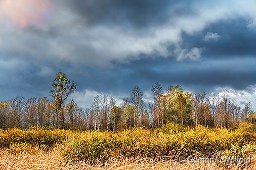 Autumn Landscape_29692.jpg - Photographed near Smiths Falls, Ontario, Canada.